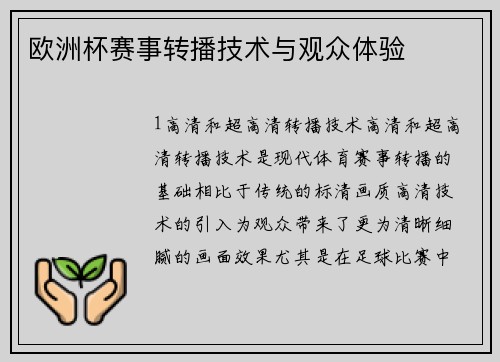 欧洲杯赛事转播技术与观众体验